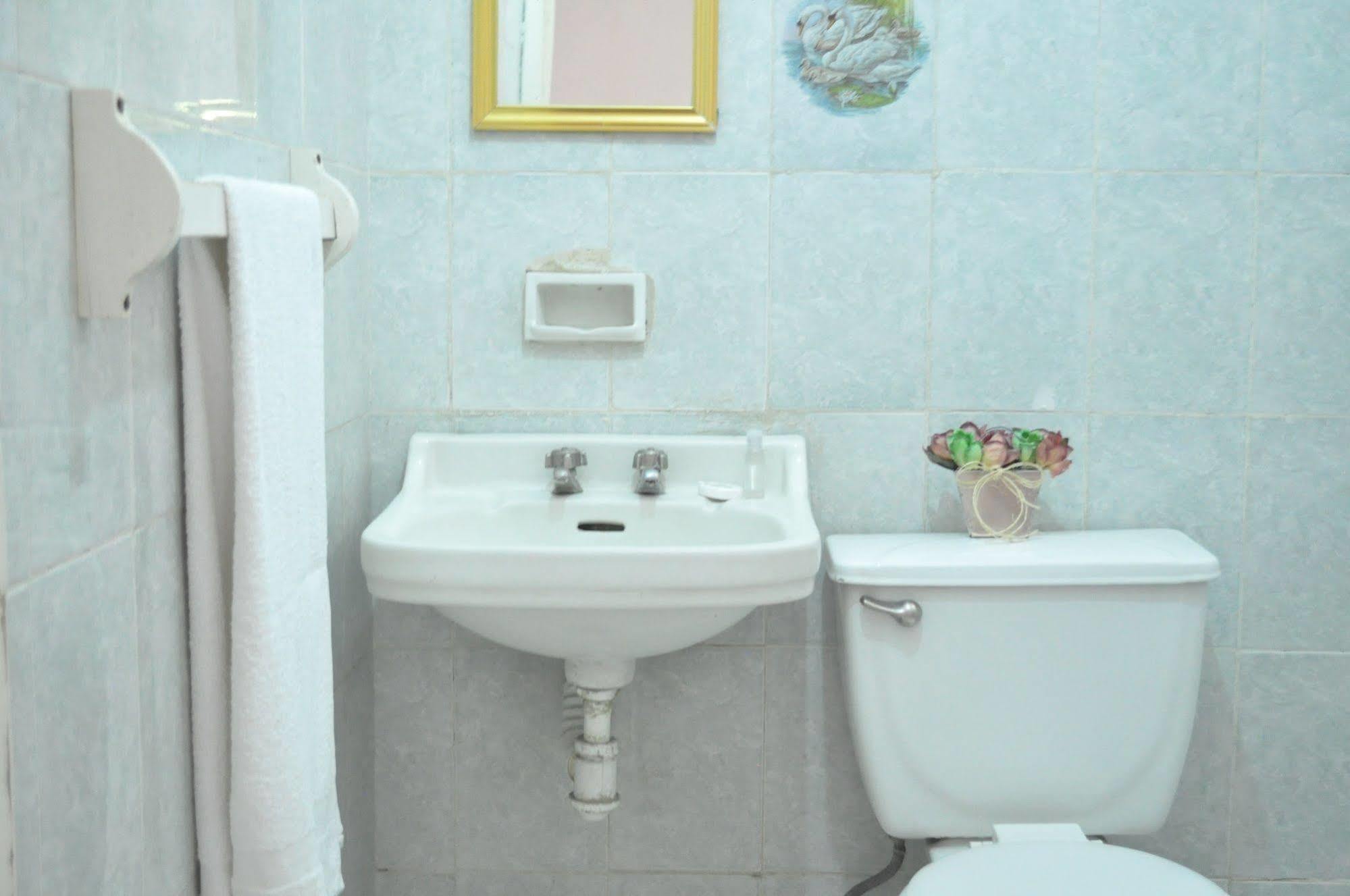 Hotel San Carlos Irapuato Kültér fotó